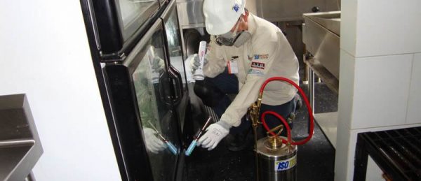 , ISOTECC EN ACCI&Oacute;N, ISOTECC - Control de plagas en Guadalajara