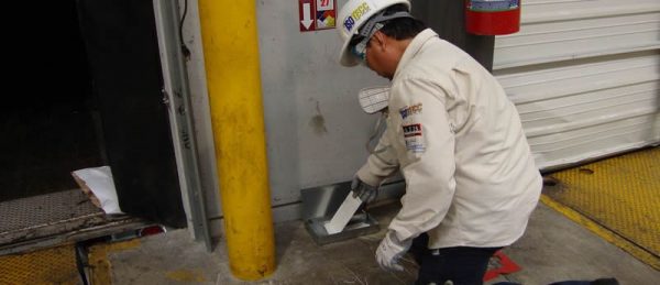 , ISOTECC EN ACCI&Oacute;N, ISOTECC - Control de plagas en Guadalajara