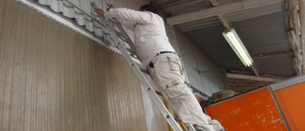 , ISOTECC EN ACCI&Oacute;N, ISOTECC - Control de plagas en Guadalajara